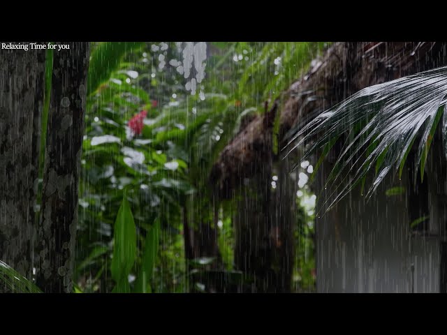 Soft rain sound falling on tropical trees, rain sound ASMR for insomnia & relaxation
