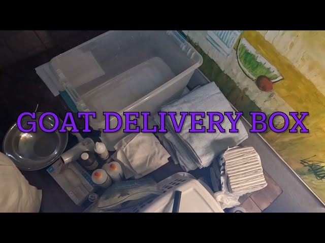 Goat Labor and Delivery Box #homestead #farmlife #urbanfarm