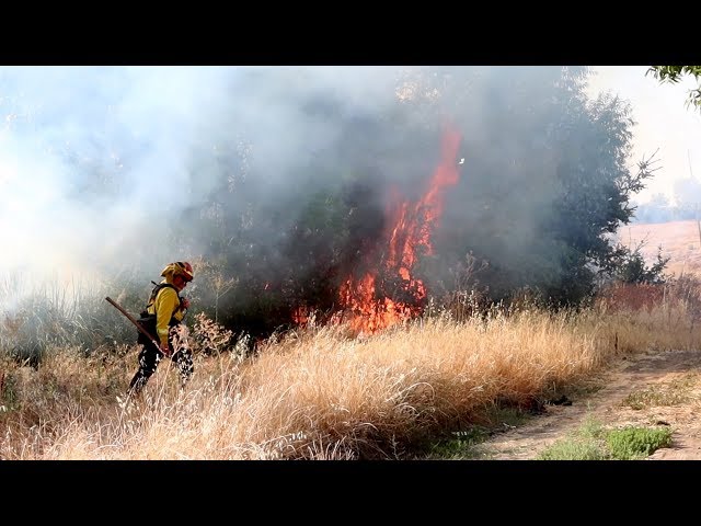 Firefighters Limit Vegetation Fire Started by Homeless in Antioch