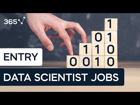 Data Science Career | 365 Data Science
