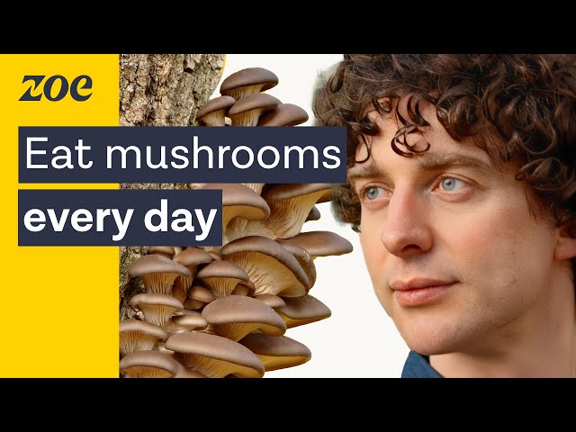 Mushrooms as medicine: Uncovering the health secrets of fungi | Merlin Sheldrake & Prof. Tim Spector