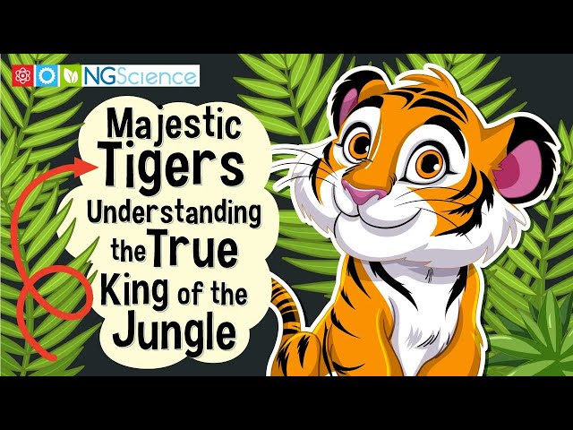 Majestic Tigers – Understanding the True King of the Jungle