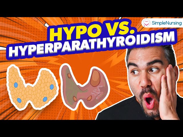 Endocrine | Parathyroid - Hyperparathyroidism vs Hypo for NCLEX