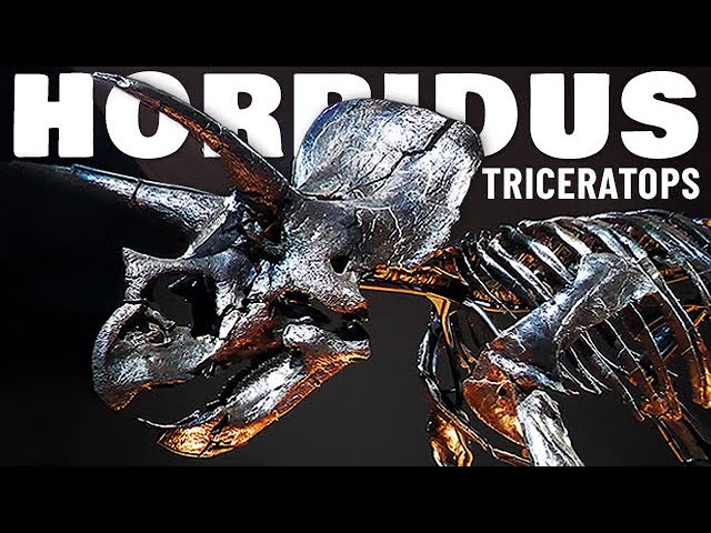 World’s Most Complete Triceratops Dinosaur Skeleton