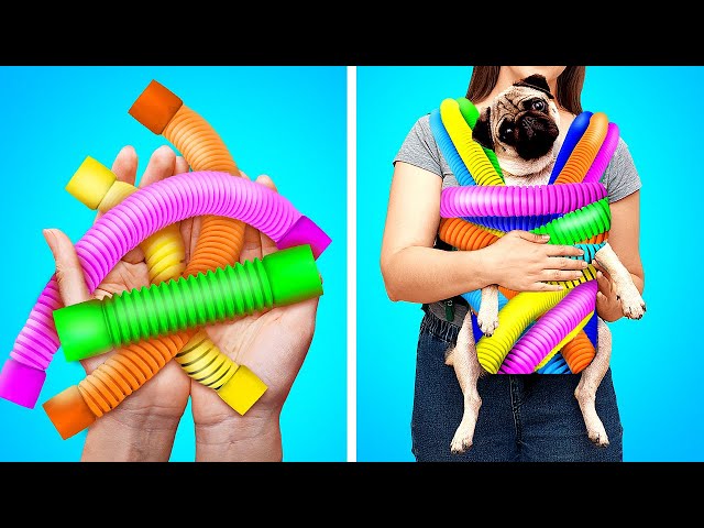 POP IT! Creative Hacks For Not Only Pet Owners! Cool Ideas By A PLUS SCHOOL