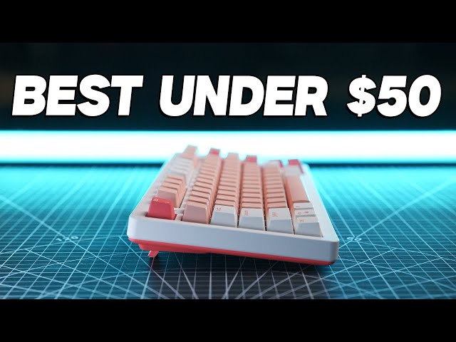 The Best BUDGET Mechanical Keyboard I've Seen YET... but..
