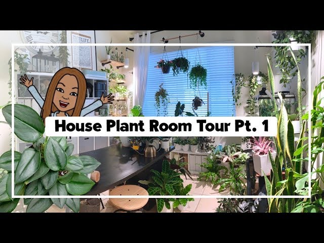 House Plant Room Tour Pt.1 🌿 || A girl with a garden