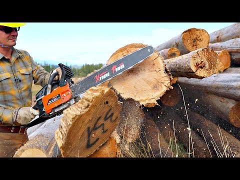 Testing The Cheapest Chainsaw On AMAZON