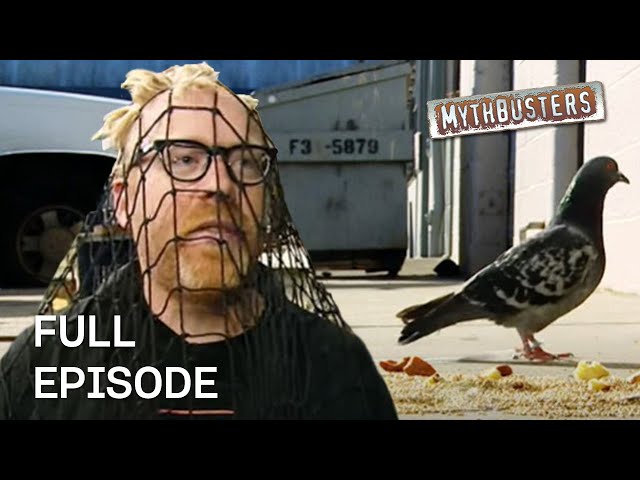 Birds in a Truck | MythBusters | Season 5 Episode 9 | Full Episode