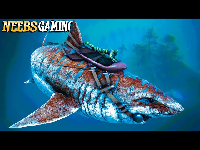 Spelunking with SHARKS! - Ark Fjordur