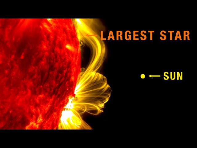 Largest Stars Comparison in 3D!