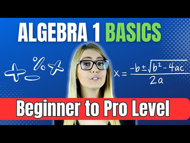 Algebra 1  Basics for Beginners