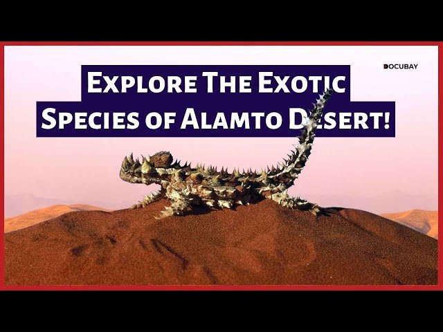 Iran's Robust Ecosystem and Biodiversity - What You Don't Know About Alamto Dessert🐍💀😯
