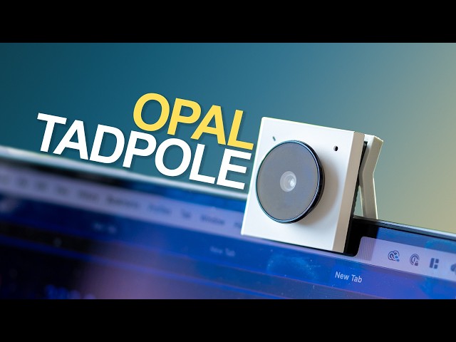 The Opal Tadpole Has Arrived!