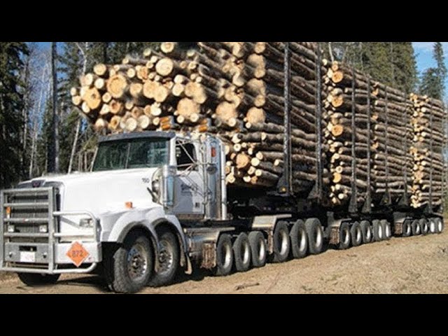 Unbelievable Dangerous Idiots Heavy Equipment Logging Wood Truck Operator | Big Logging Wood Truck.