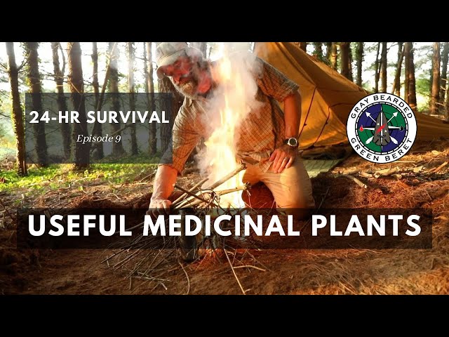 Useful Medicinal Plants for Emergency Use (24 Hour Survival Ch. 9) | Gray Bearded Green Beret