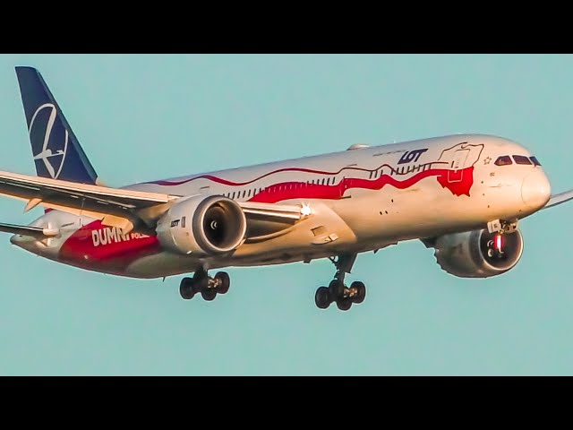 13 AWESOME AFTERNOON LANDINGS at ORD | 787 747 MD11 | Chicago O'Hare Airport Plane Spotting