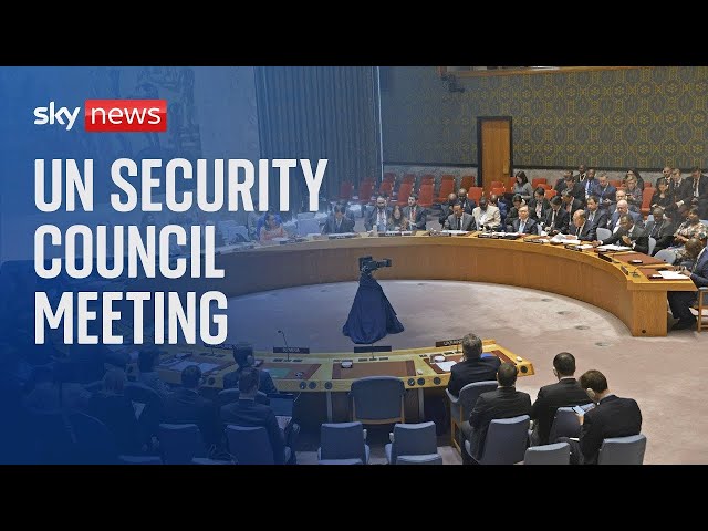 UN Security Council | Threats to the international security