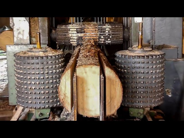 Amazing Modern Wood Sawmill Processing Technology, Dangerous Big Wood Multisaw Sawmill Machines