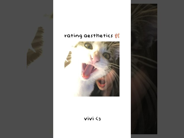 rating aesthetics 🦢 #aesthetic #viral #shorts #makeup #makeuptips #preppy #fyp #coquette