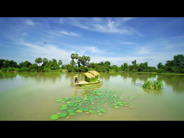 Build The Most Beautiful Boat House for Traveling and Relaxing Around Lake River