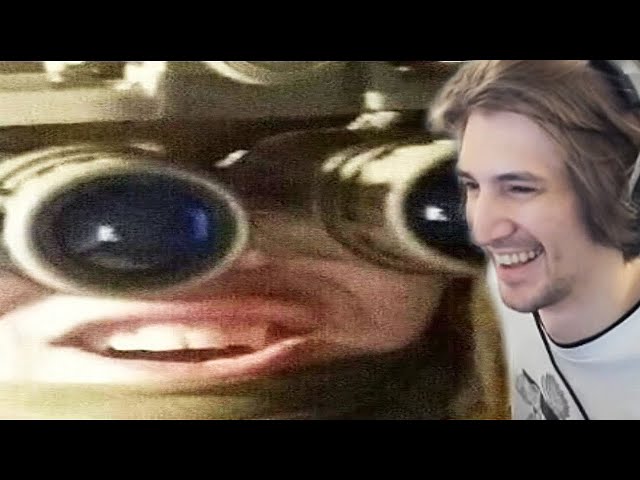 xQc Reacts to memes that un-virgin your olive oil