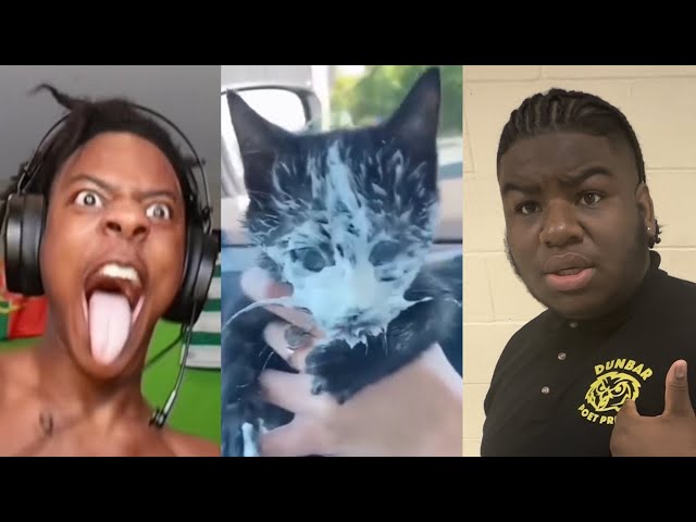 TRY NOT TO LAUGH 😂 Best Funny Video Compilation 🤣🤪😅 Memes PART 82