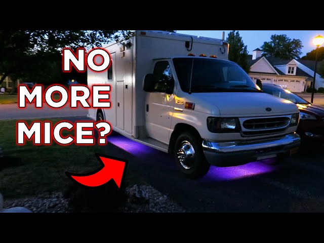 Will I Ever Need To Worry About Mice Invading My Rig After Doing This? | Ambulance Conversion Life