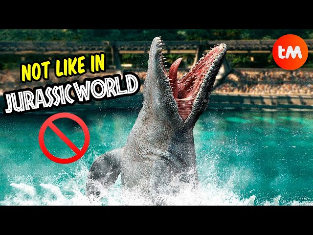 10 THINGS You Didn't Know About MOSASAURUS 🤔