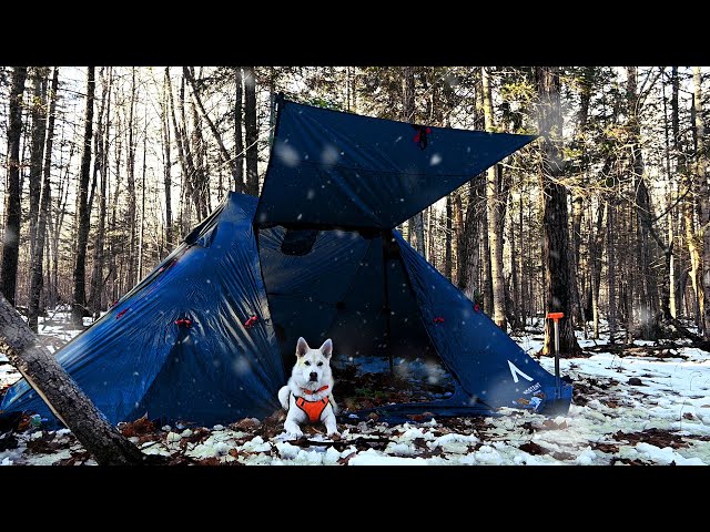 Setting up a Semi Permanent Winter Camp; Wolf and I Camp Out in a Brand New Hot Tent with Stove.
