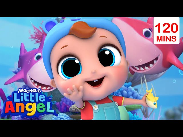 Baby Shark Dance | Little Angel | Most Popular Songs for Kids