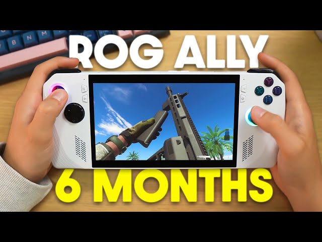 AUS ROG ALLY Review: 6 Months Later... The Honest Truth