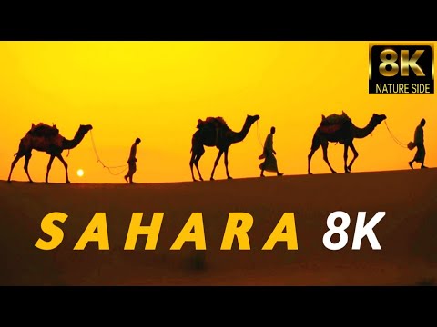 #8K #HDR #60FPS #DESERT  SAHARA DESERT AND AMAZING PLACES IN 8K | 8K NATURE SIDE | 8K VODEO