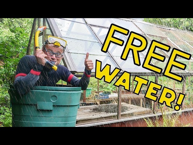 💧Best Ways to Collect Rainwater
