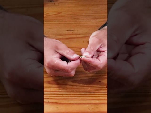 How To Tie The Improved Clinch Knot In Under 30 Seconds