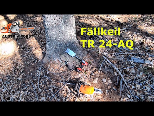 First test of the felling wedge TR 24-AQ