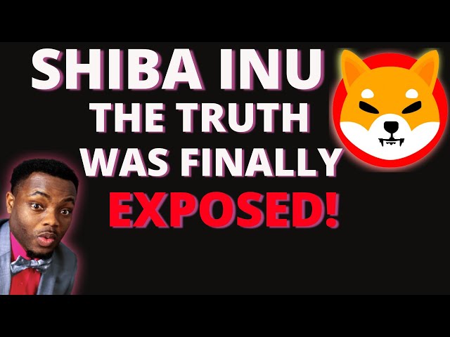 SHIBA INU - This Changes Everything!