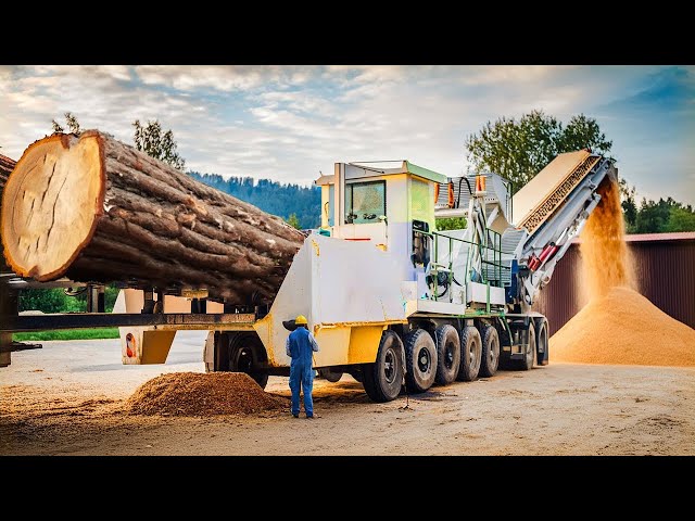 Extreme Dangerous Fastest Wood Chipper Machines Technology, Monster Tree Shredder Machines Working