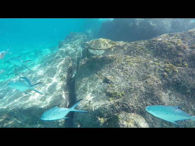 Snorkeling Seychelles - St Pierre