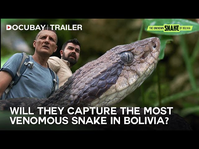 Hunt for the Bolivia's Deadliest Legend | The Unknown Snake Of Bolivia