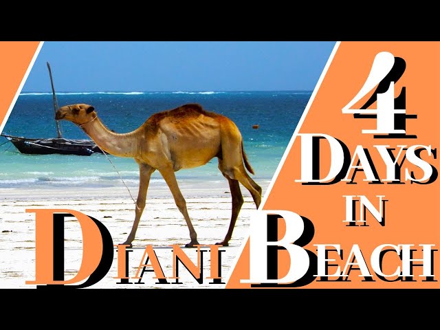 Diani Beach in 4 Days | Diani 4-Day Itinerary | Kenya