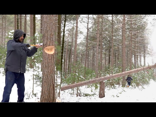 Tree Felling by Handsaw FAIL [Winter Camping Attempt]