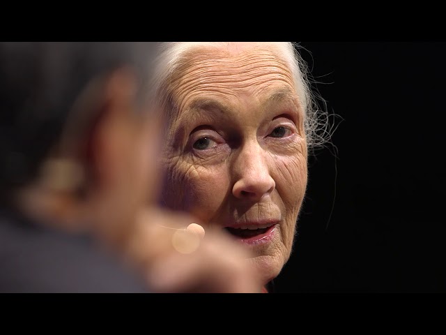 Dr. Jane Goodall, DBE, with Guy Kawasaki  | Dr. Jane Goodall & Guy Kawasaki | TEDxPaloAltoSalon