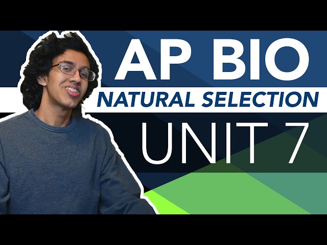 AP Biology Unit 7 Crash Course: Natural Selection