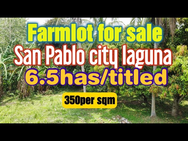 farmlot for sale/san pablo city laguna/titled/6.5has