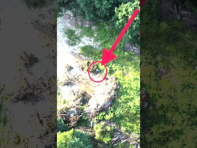 This Drone Accidentally Made A Chilling Discovery After Finding This #shorts