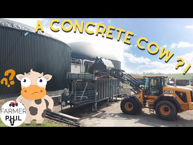 FEEDING A CONCRETE COW ! | AN INSIDE VIEW OF AN AD PLANT
