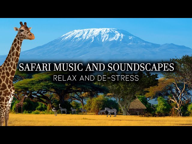 Relaxing Music and Animal Sounds - Calm Your Mind, Relax and De-stress - Safari