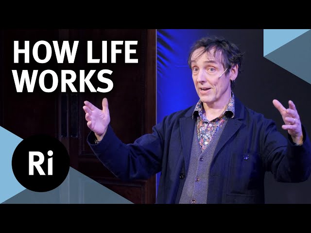 What is life and how does it work? - with Philip Ball