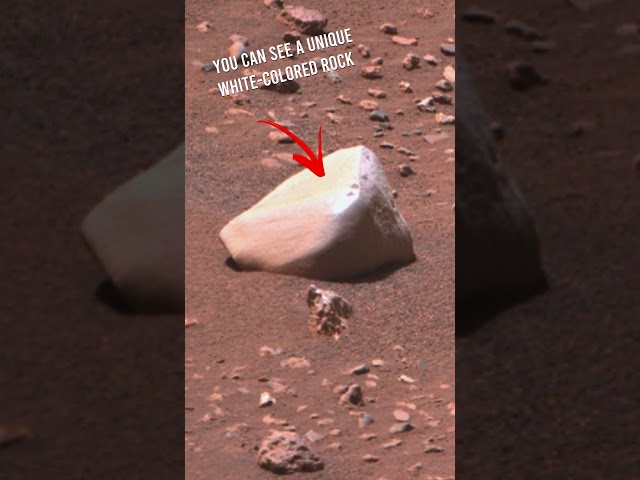 White-colored rock ended up in the lens of Perseverance Mars Rover